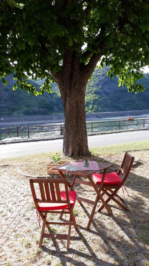 Pension / Ferienwohnungen Scheid Kestert Esterno foto