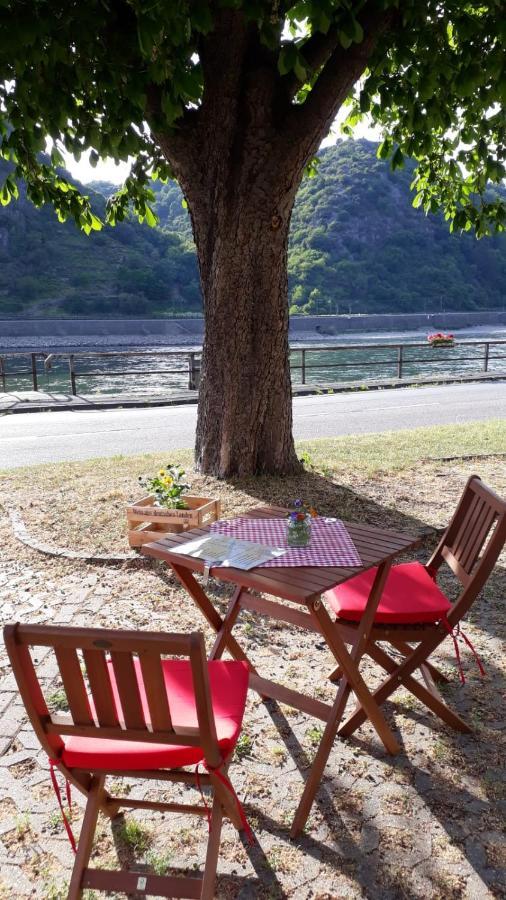 Pension / Ferienwohnungen Scheid Kestert Esterno foto